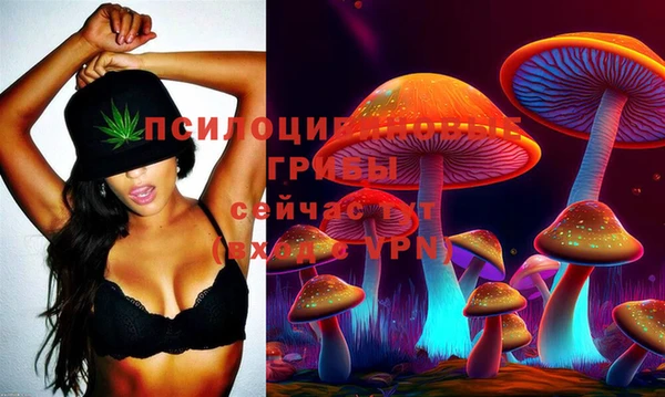 дурь Горно-Алтайск