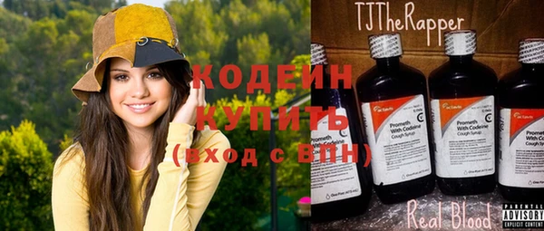 эйфоретик Гусь-Хрустальный