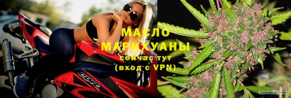 эйфоретик Гусь-Хрустальный
