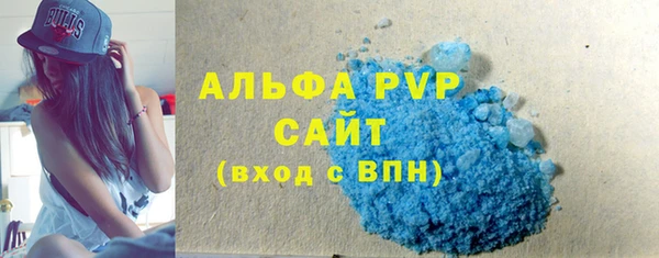 эйфоретик Гусь-Хрустальный