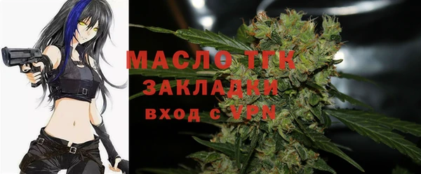 эйфоретик Гусь-Хрустальный